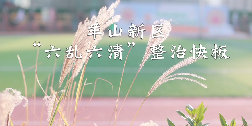 信阳市羊山外国语小学学生唱响六乱六清整治快板
