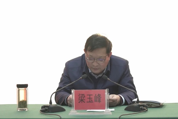 梁玉峰强调,党史学习教育虽然告一段落,但"学党史,悟思想,办实事,开新