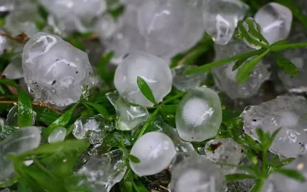 驻马店地区和信阳地区北部及南阳地区东部部分县市将出现冰雹天气,并