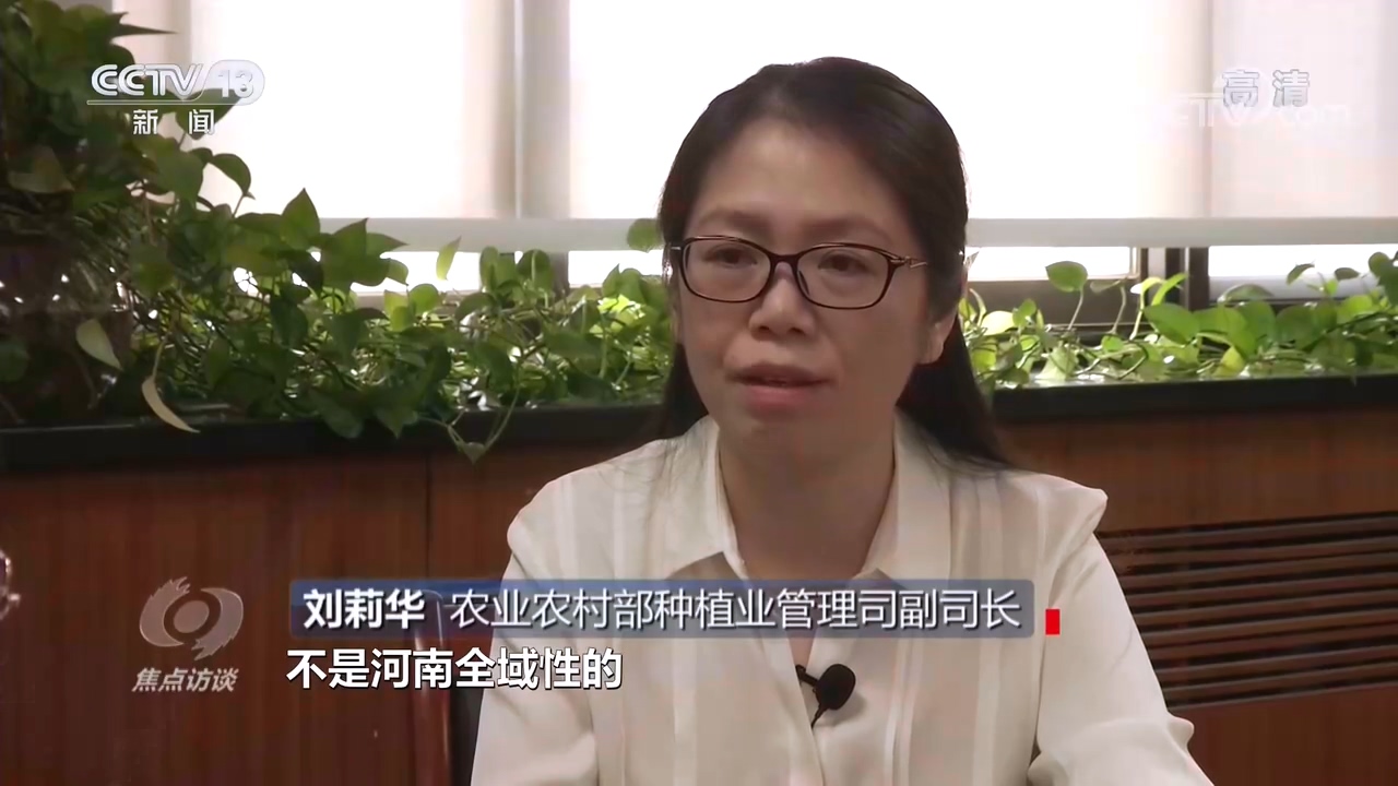 央视焦点访谈关注河南：以丰补歉 力争完成全年粮食生产目标