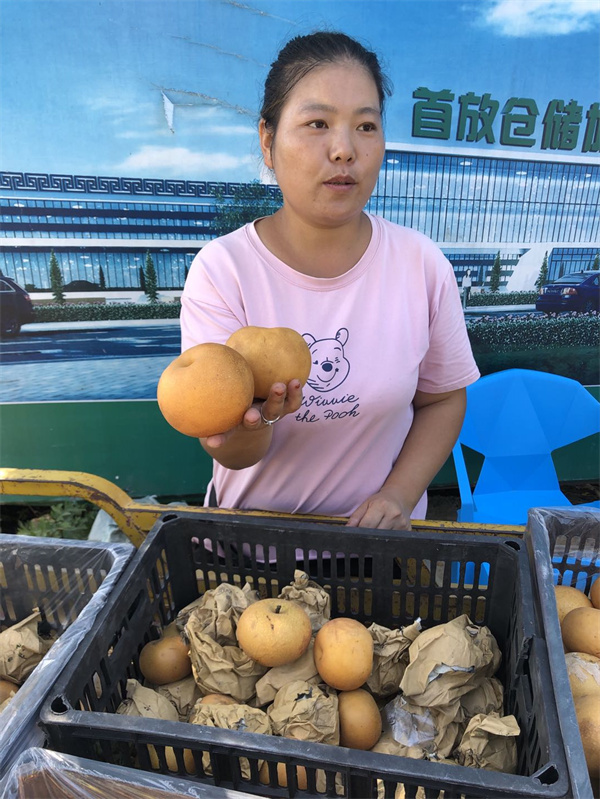 许昌市建安区榆林乡乡村振兴展新容