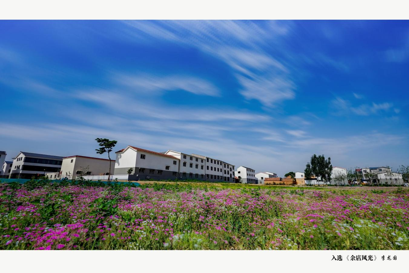 开封市鼓楼区仙人庄办事处余店村多元共建村庄景区让农村宜居农民乐业