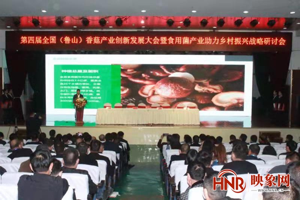 第四届全国（鲁山）香菇产业创新发展大会16日在鲁山举行