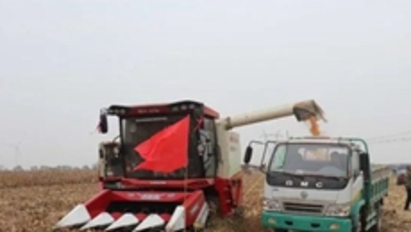 啥是