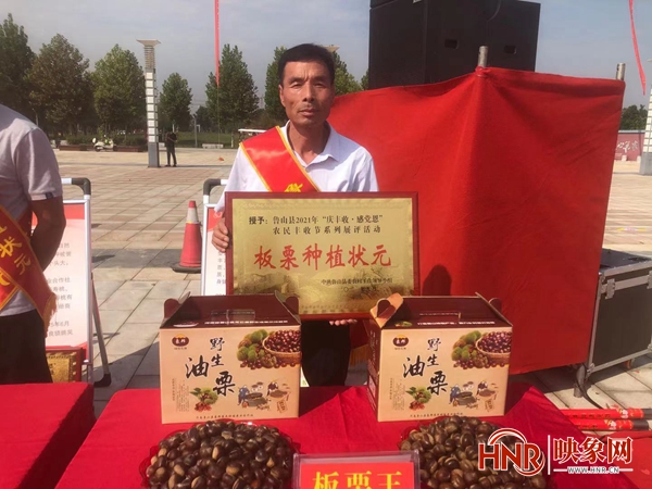 鲁山县：板栗嫁接改良 助力群众增收