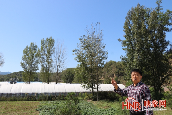 鲁山县“夫妻代表”：发展特色农产业 助力乡村振兴