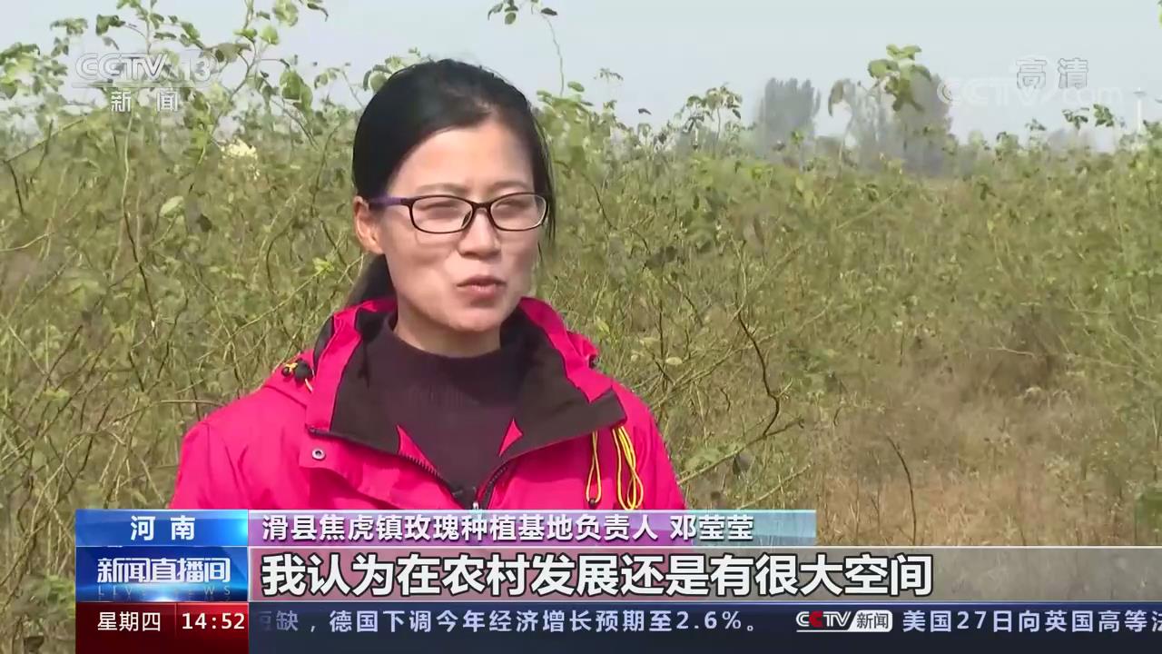 河南省滑县焦虎镇玫瑰种植基地负责人 邓莹莹我认为在农村发展还是有