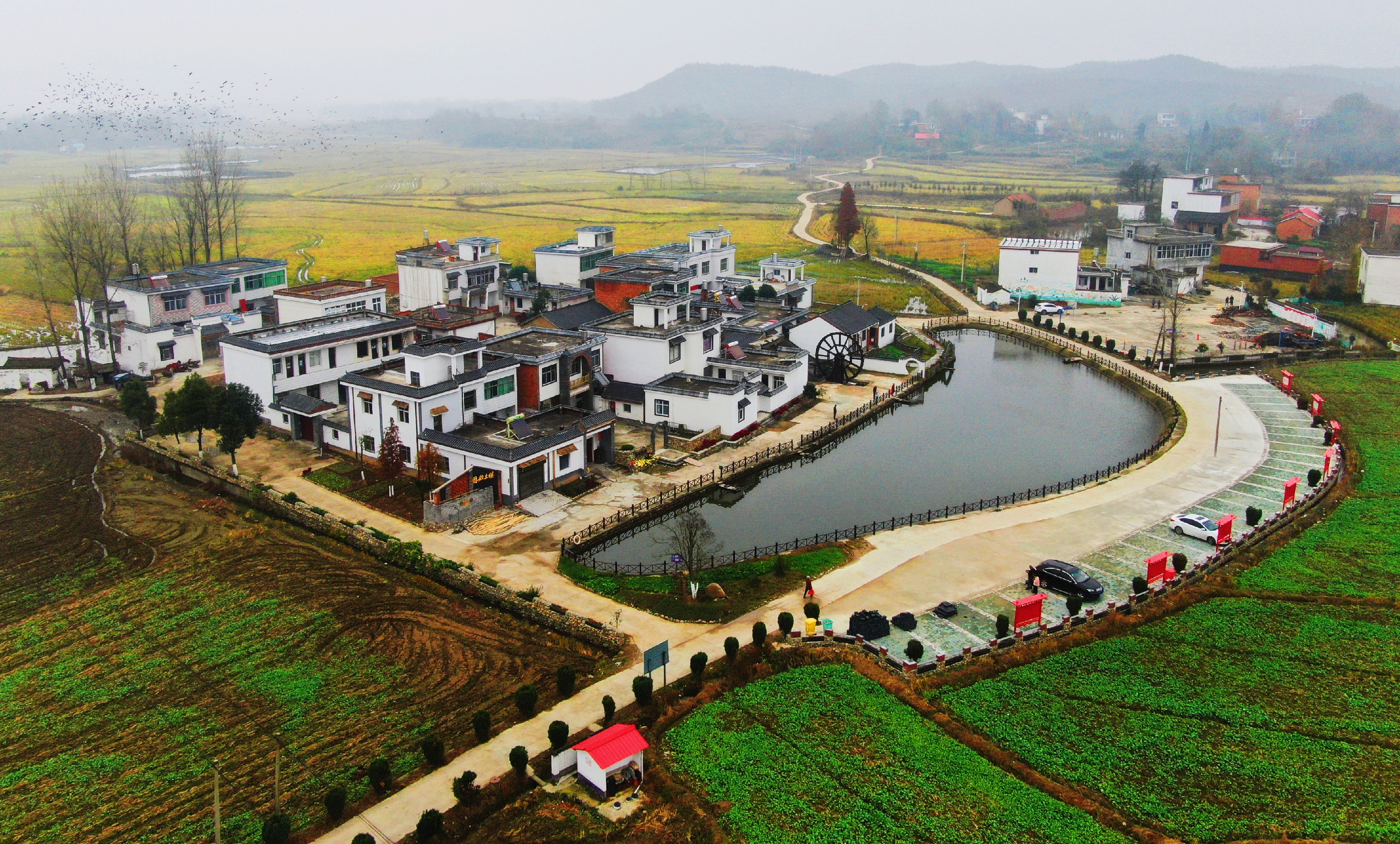 固始县方集镇沙河村新鑫长发生态农场成立于2013年,农场把技术创新