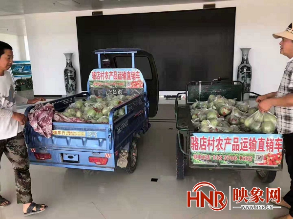 潢川县骆店村：培育果蔬特色产业 助力村民共同富裕
