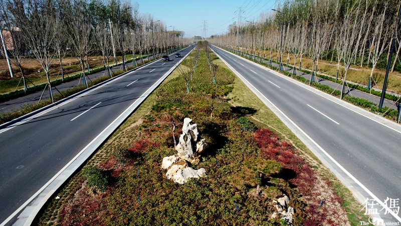 图集郑州最美公路有多美请看美图