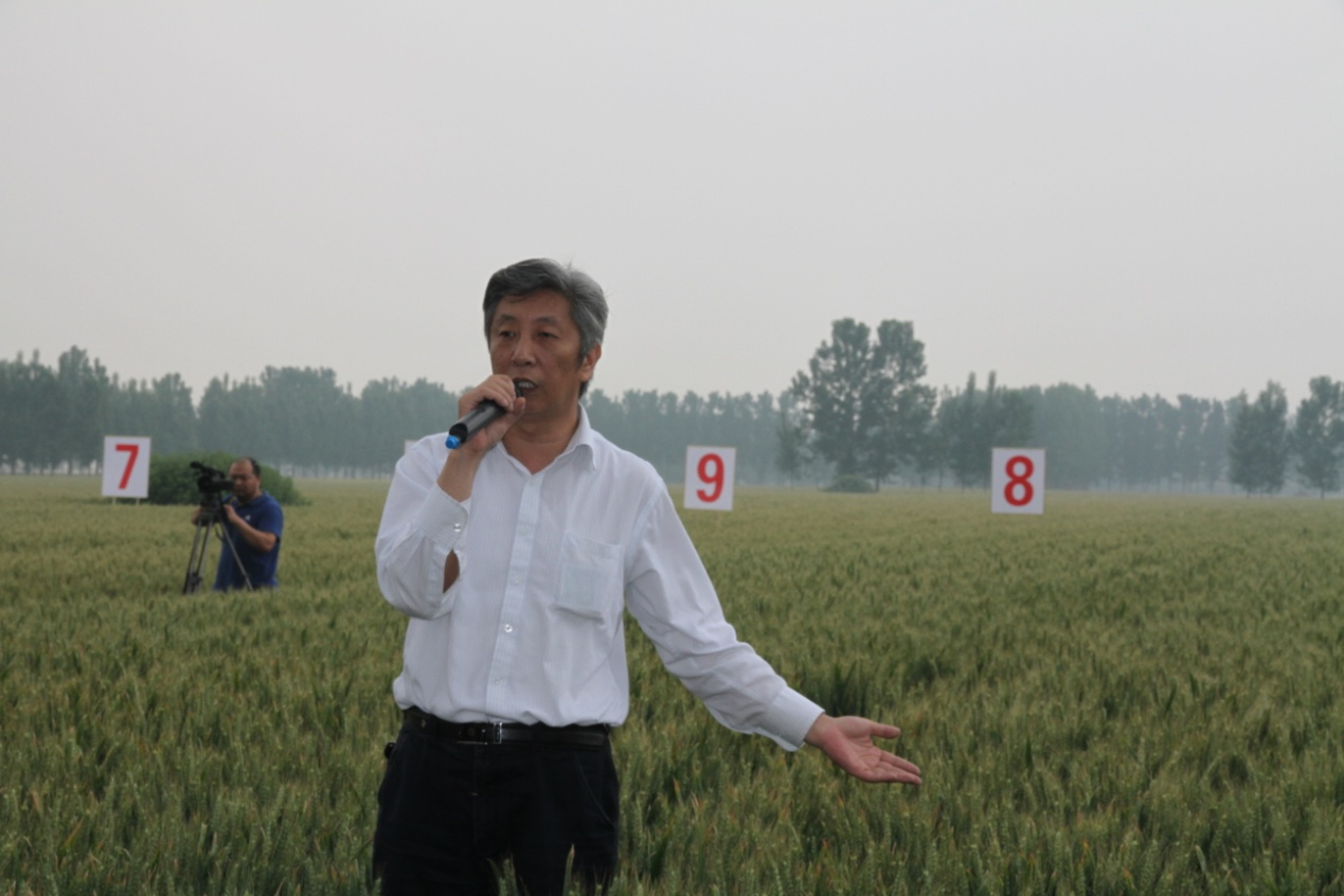 快讯！小麦育种专家许为钢当选中国工程院院士
