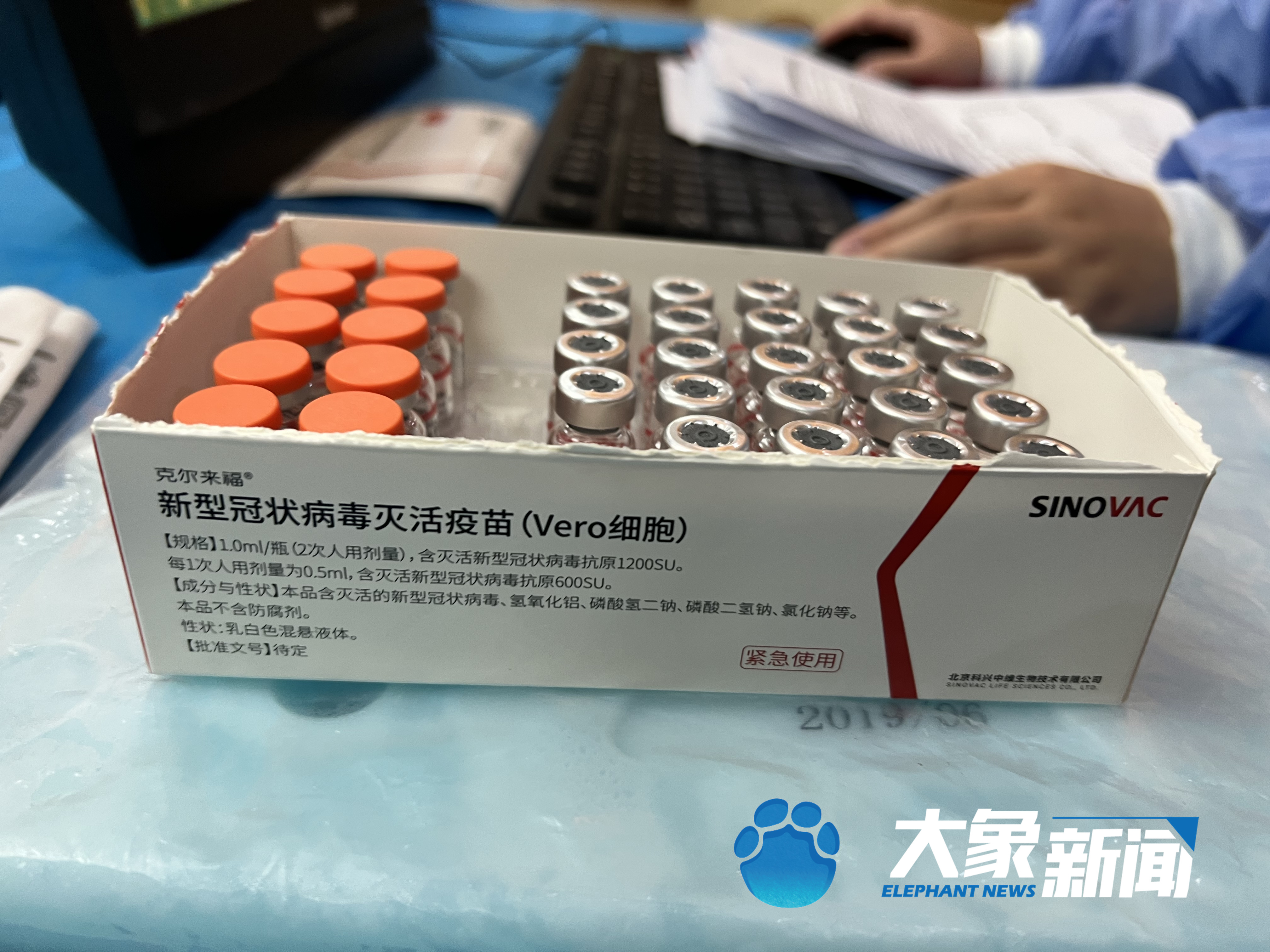 郑州市3-11岁人群新冠病毒疫苗接种完成率达62%