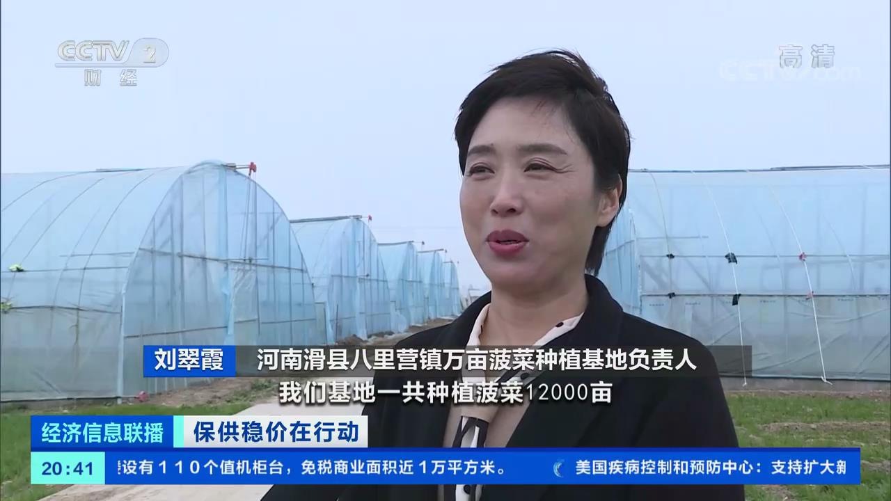 河南滑县八里营镇万亩菠菜种植基地负责人 刘翠霞