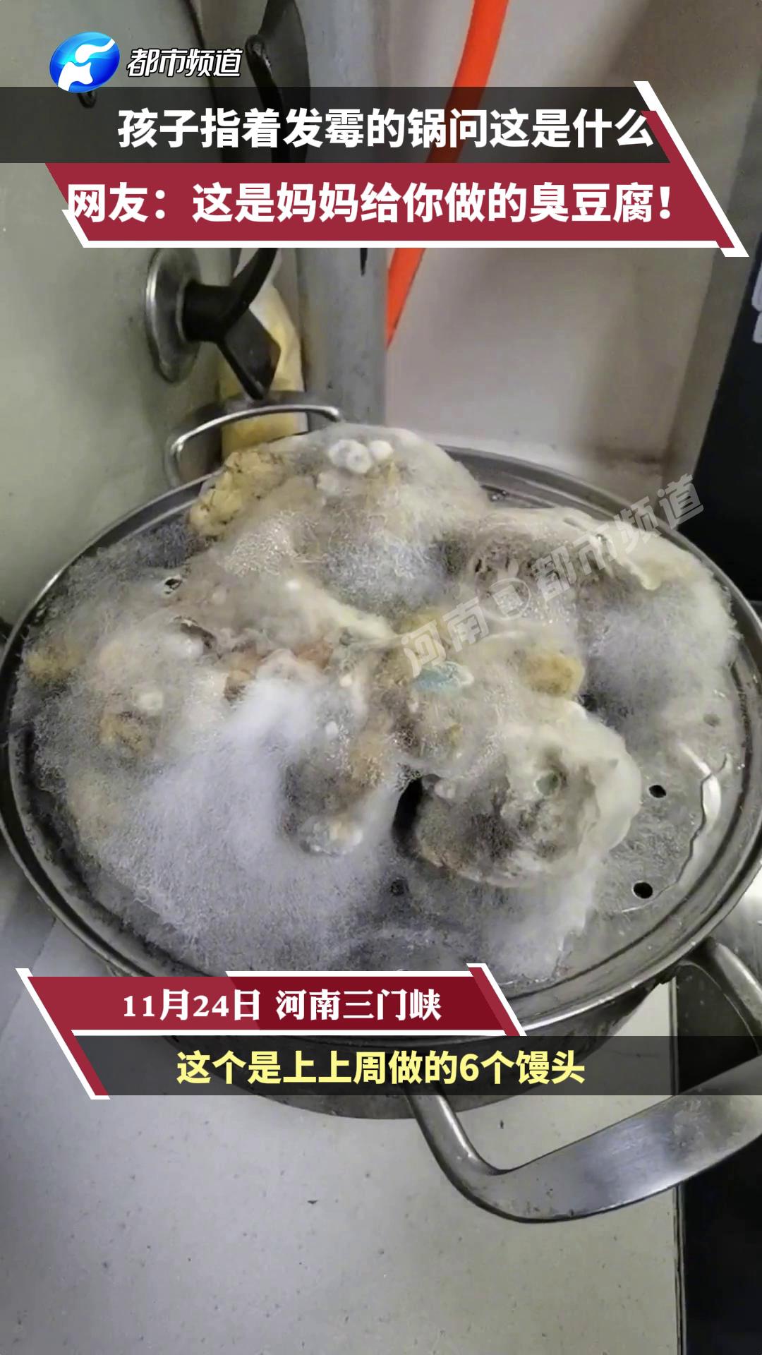 11月24日河南三门峡孩子指着发霉的饭问妈妈这是什么网友这是妈妈给你