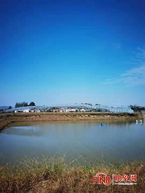 西平县成功创建认定市级水产良种场