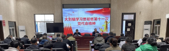 漯河市源汇区大刘镇深入学习贯彻省第十一次党代会精神