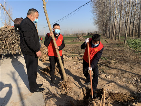 尉氏县蔡庄镇开展冬季义务植树活动