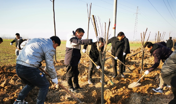 浚县法院组织干警参加冬季义务植树活动