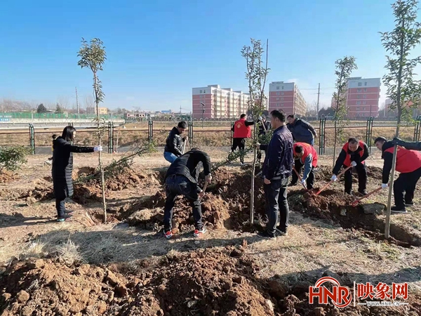 宝丰县杨庄镇：植树造林 优化南水北调生态涵养带