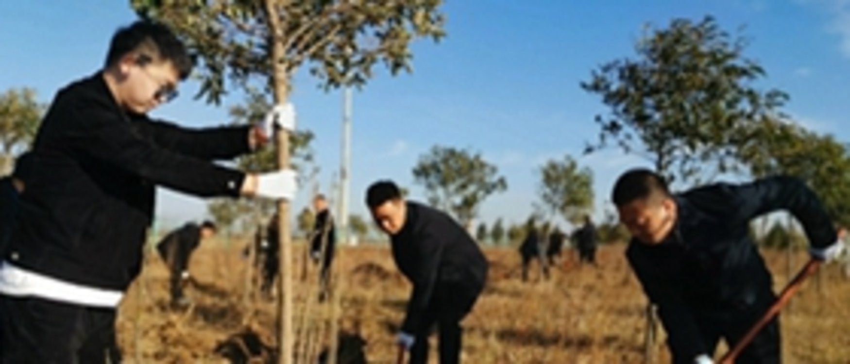 河南宝丰：组织干部职工开展冬季义务植树活动