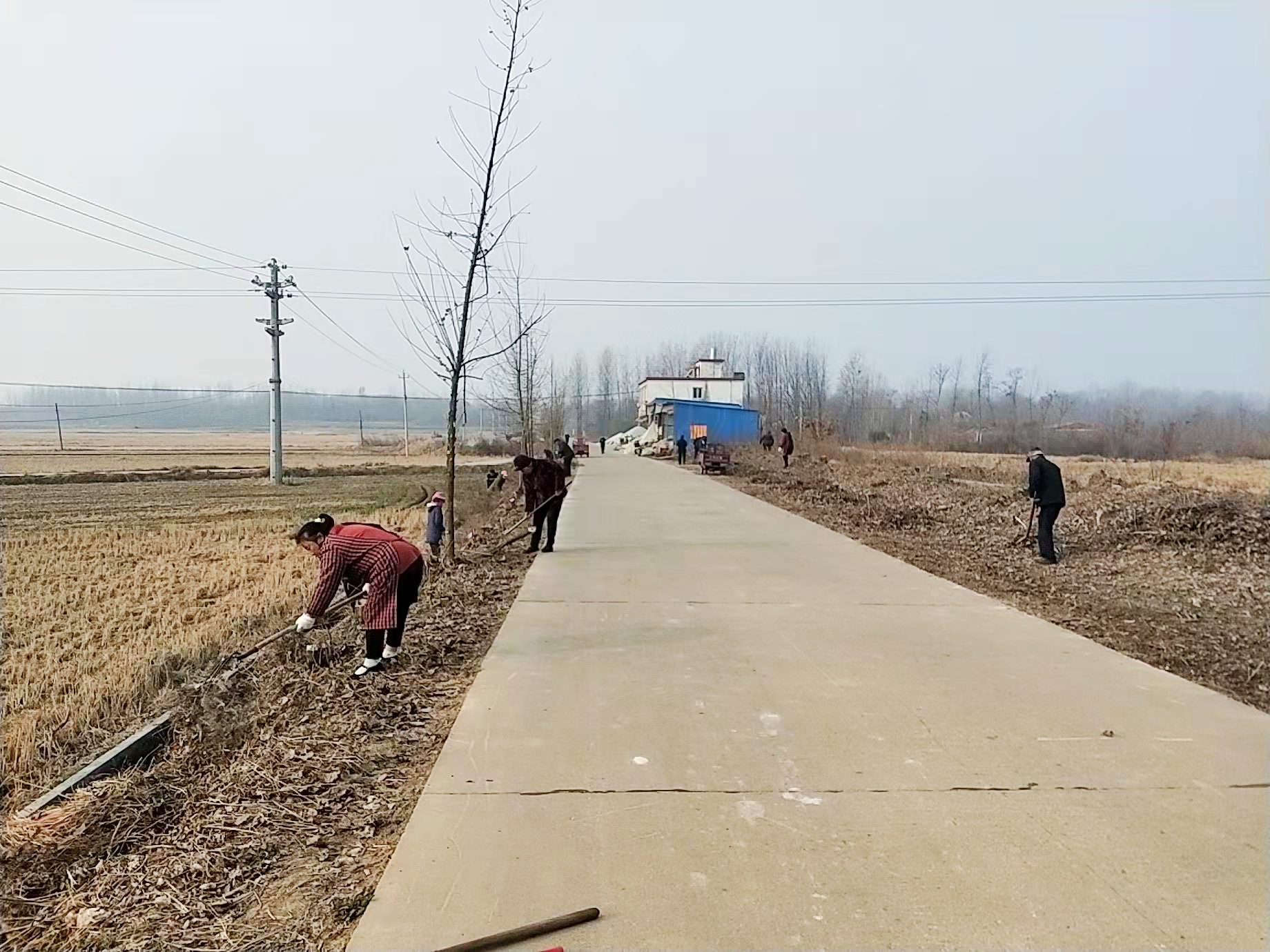 信阳市平桥区肖王镇突出四引领全力推进人居环境综合整治