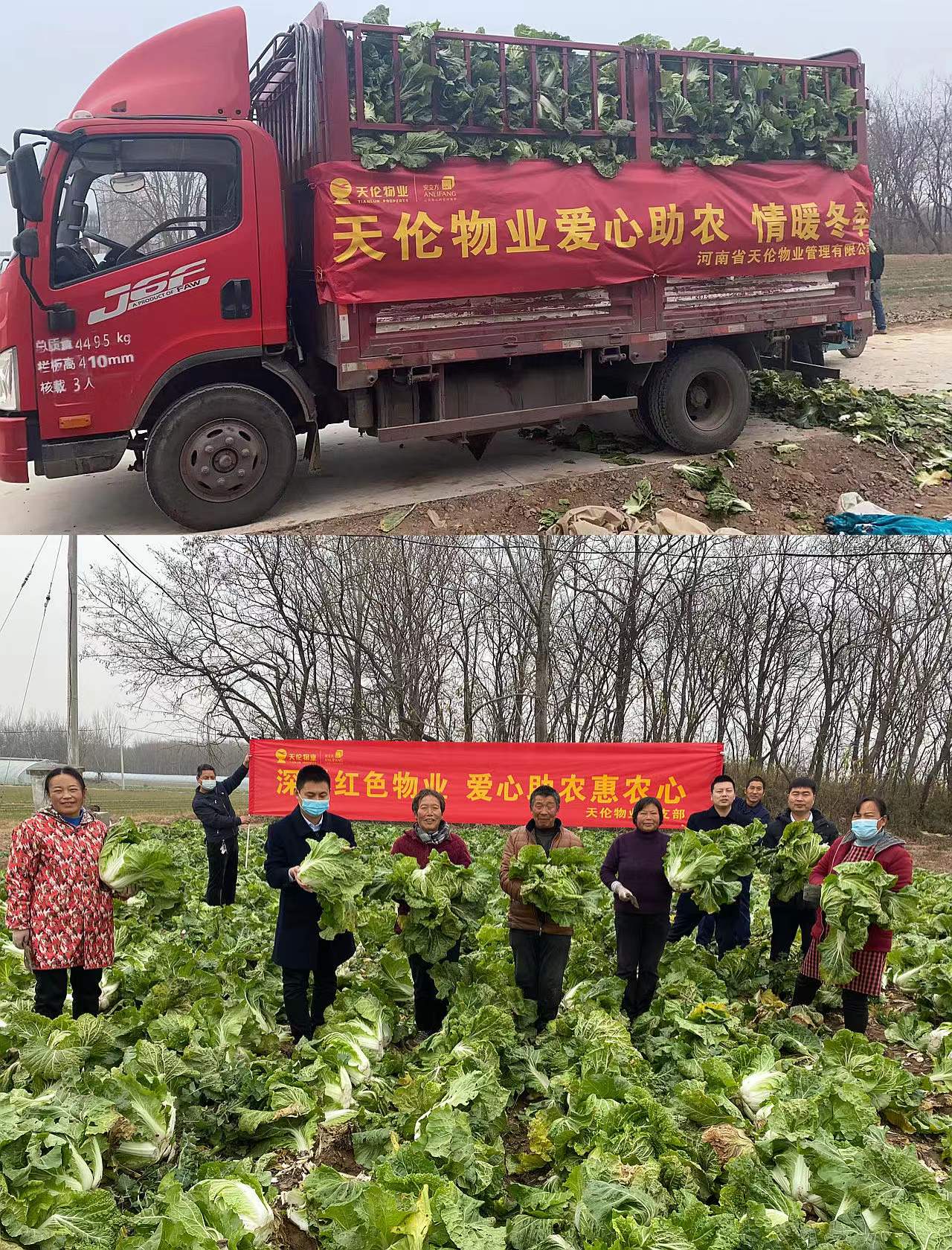 情暖冬日爱心助农天伦物业万斤新鲜蔬菜免费送业主
