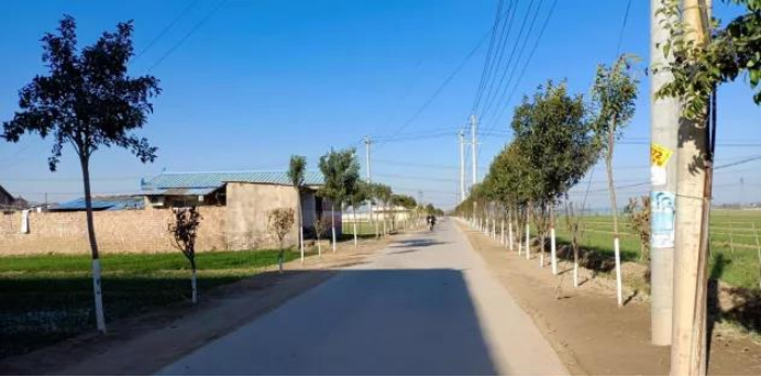 杞县平城乡王庄村全力开展村容村貌提升工作