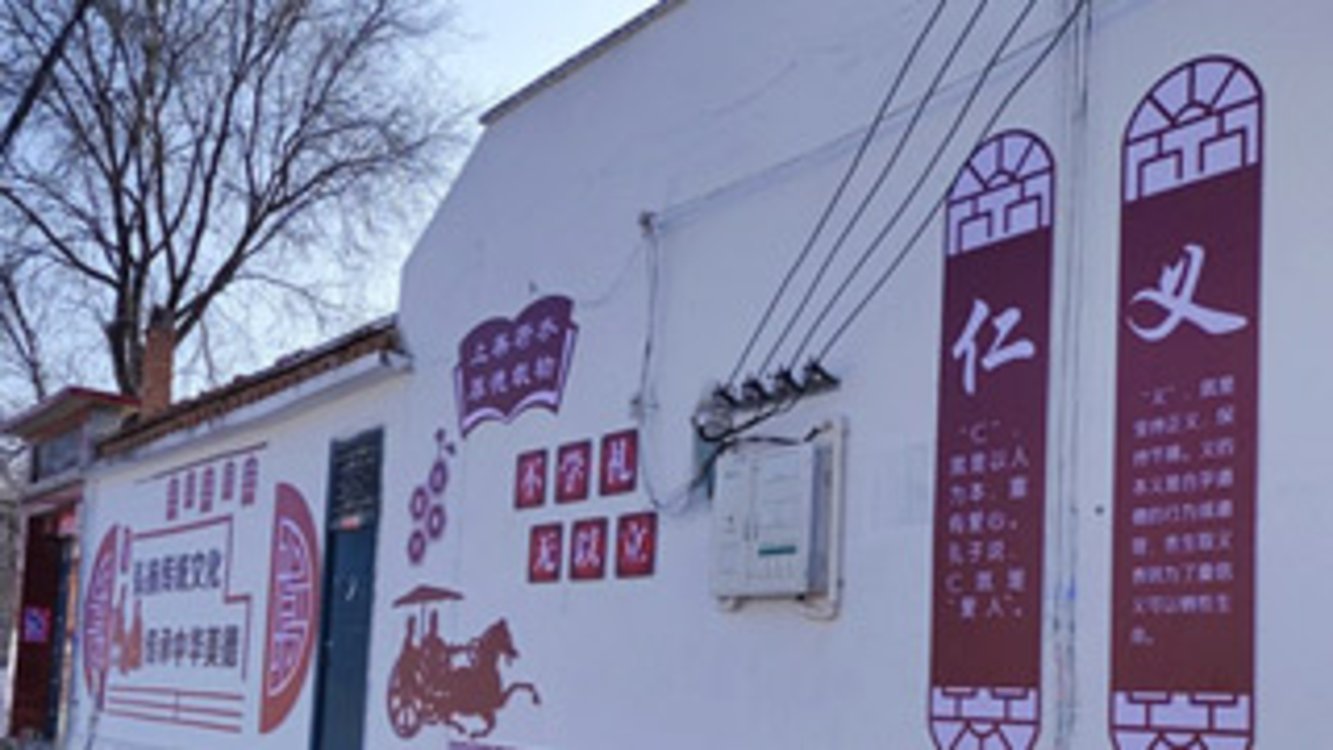 辉县市南寨镇：整治人居环境 增“新”村庄颜值