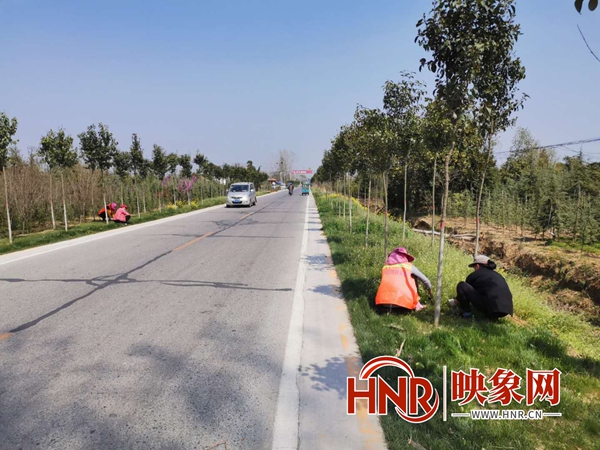 汝南县交通运输局：推进农村公路建设 营造良好营商环境