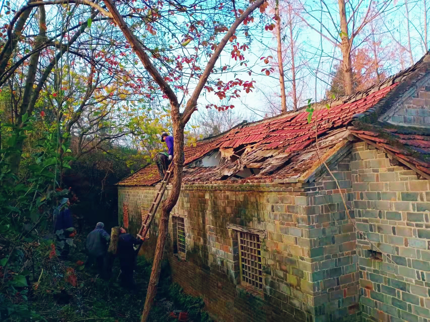 信阳市浉河区董家河镇整治农村人居环境助推乡村振兴