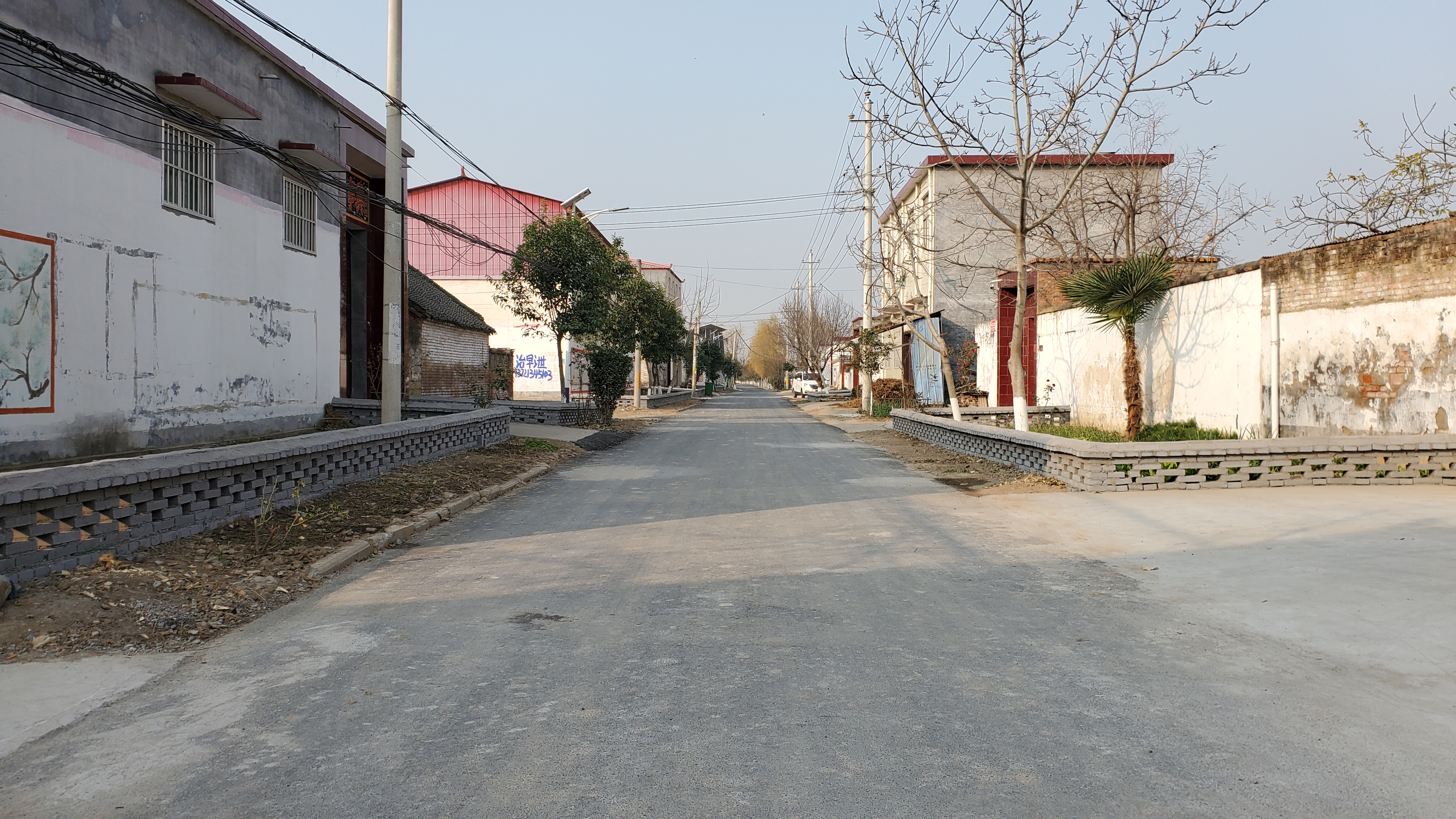 九街镇党员干部当先锋人居环境大不同