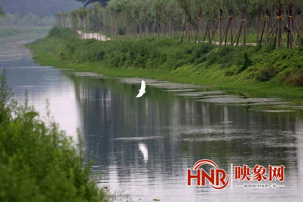 杞县：林长制推动国土绿化高质量开展