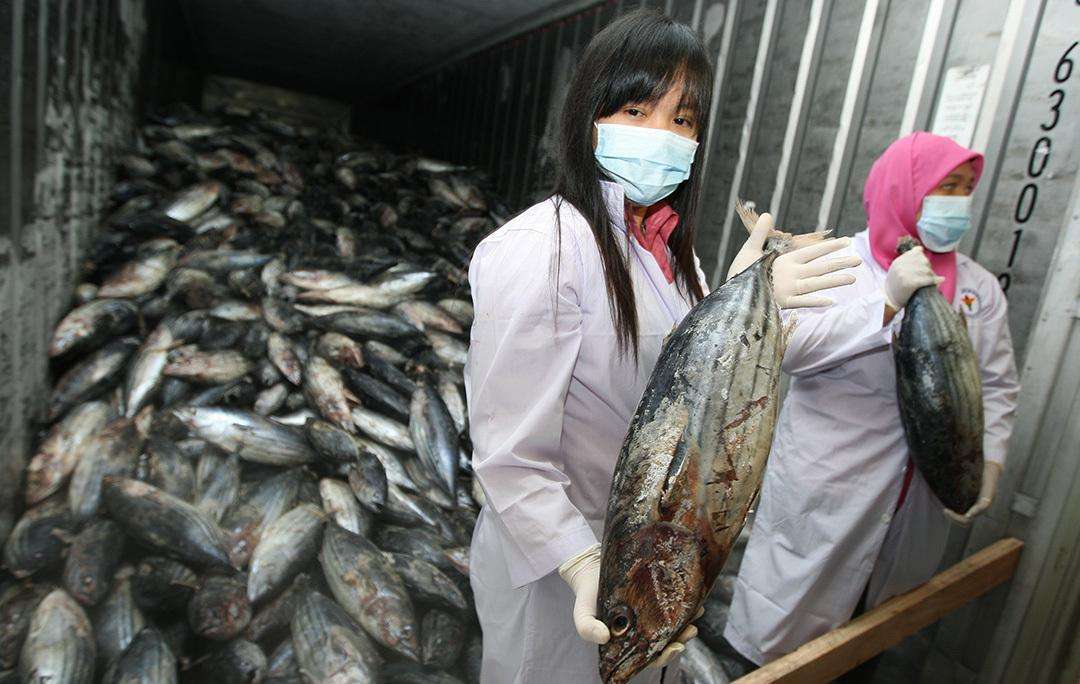 大陸將開放進口日本“核食”？ 國臺辦：純屬造謠