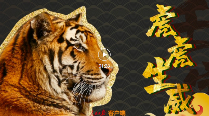 虎虎虎虎虎虎年来了