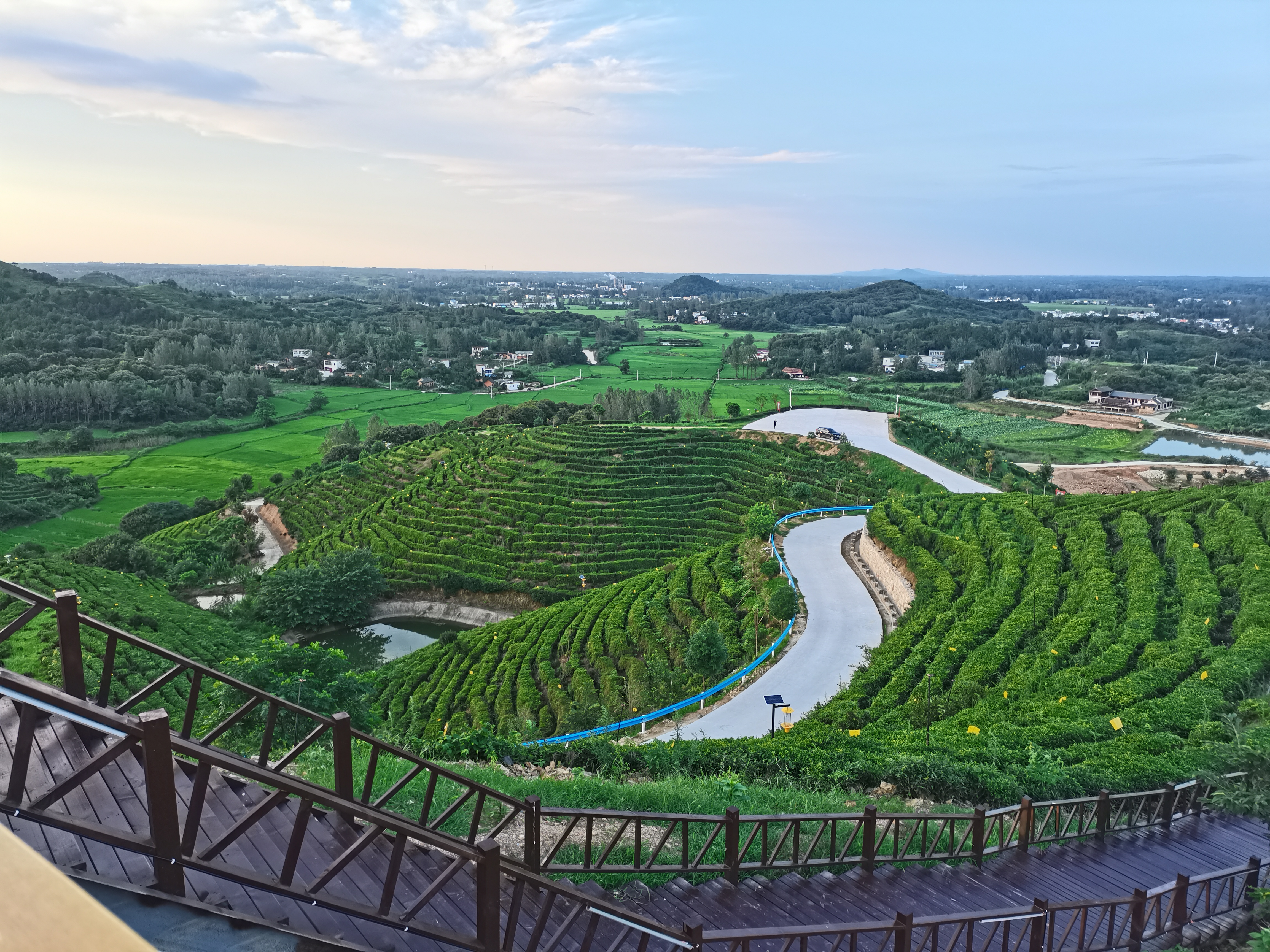 罗山县周党镇:茶旅红旅风光好 乡村振兴幸福长-大象网