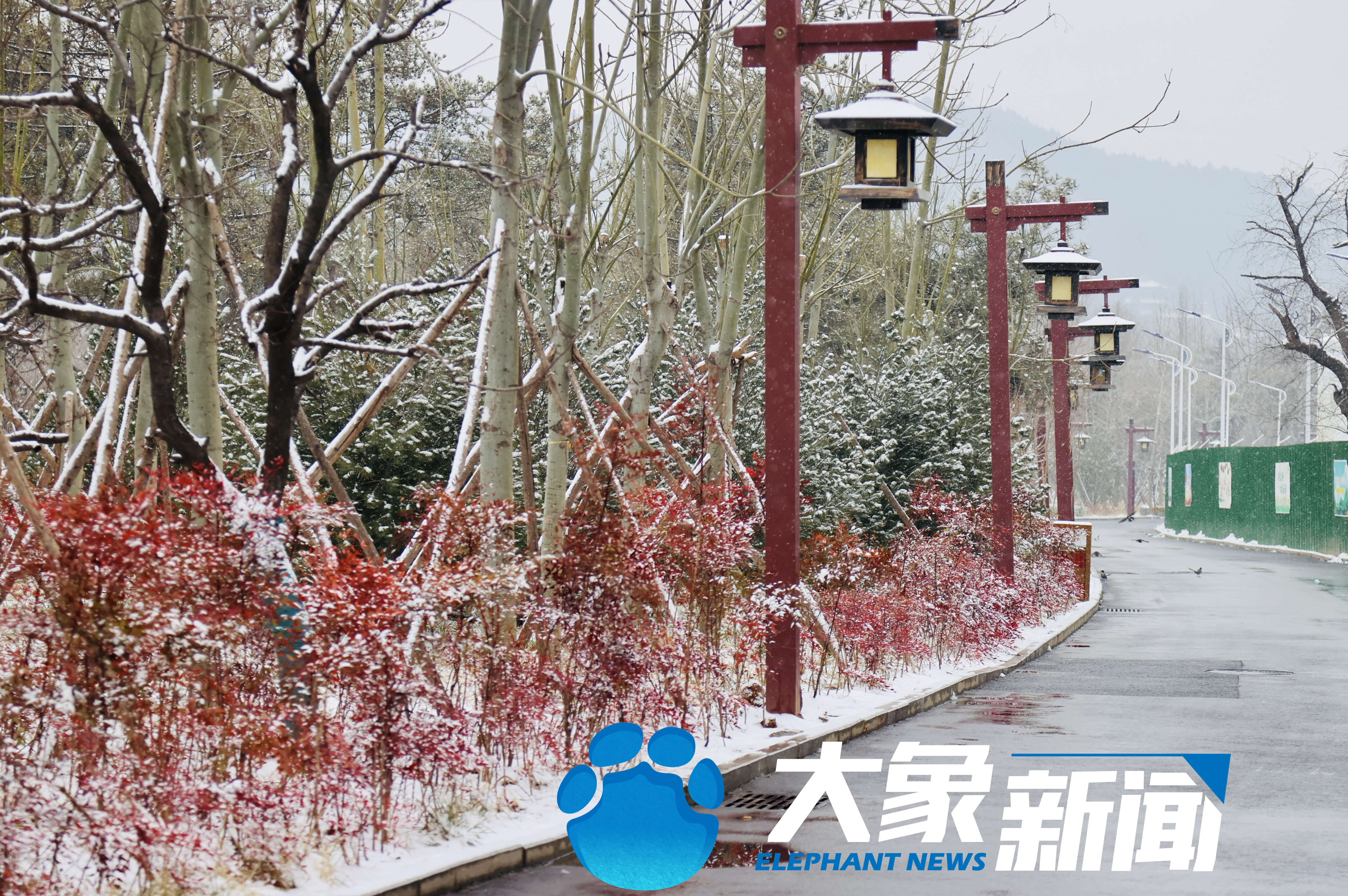 洛阳龙门石窟景区迎来虎年第一场降雪