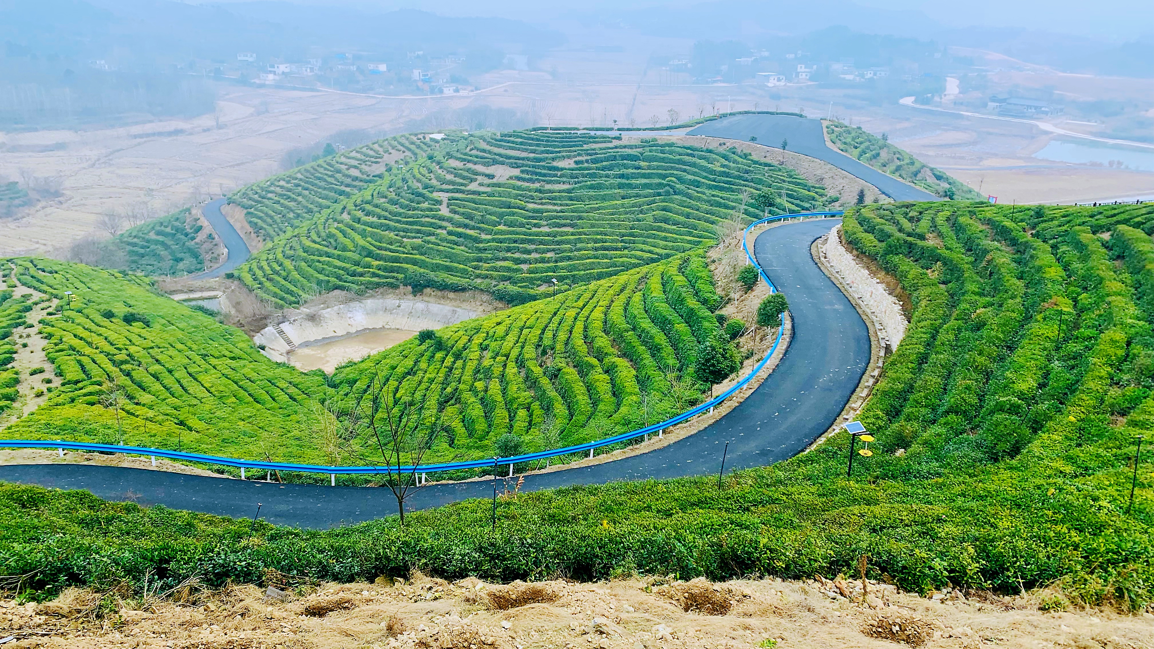 罗山县周党镇茶旅红旅风光好乡村振兴幸福长