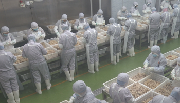 原阳县各企业：开足马力忙生产 力争首季开门红