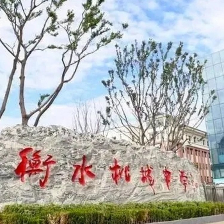 网传衡水桃城中学老师猥亵女生，警方通报：未发现存在猥亵行为
