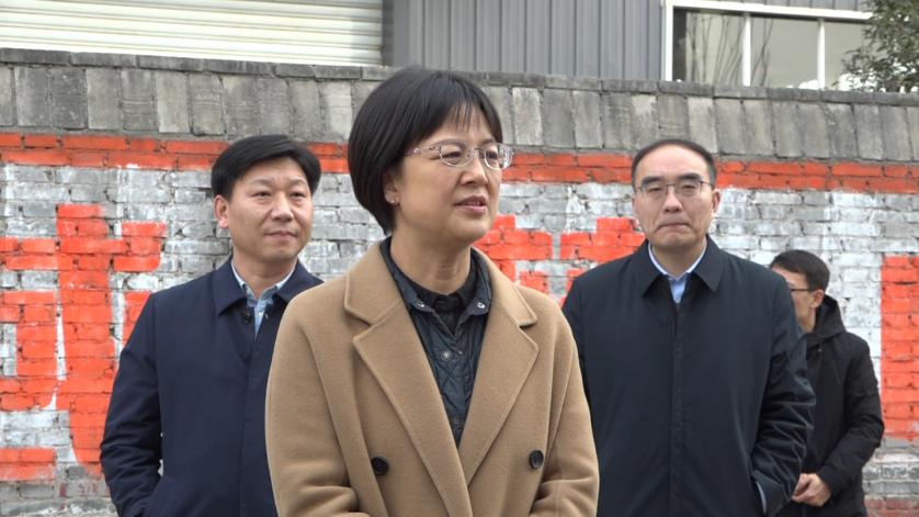 新乡市委常委杨彦玲到获嘉调研重大项目建设情况