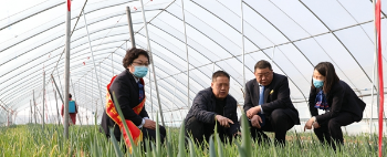 内黄县农信联社：金融播撒“及时雨” 春耕备播“不差钱”
