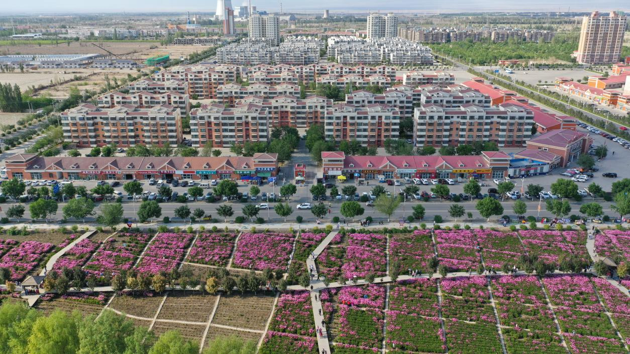 2022年新疆生产建设兵团第十三师新星市河南招商推介会暨项目签约仪式