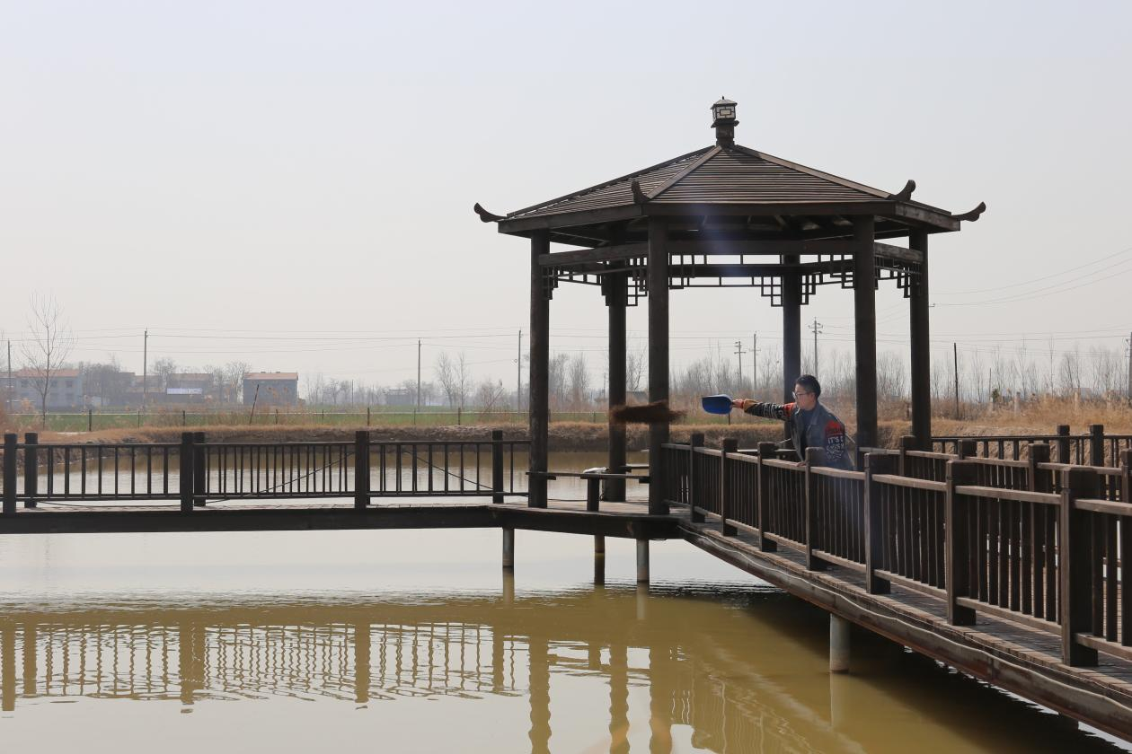 贾寨镇年出栏30万头仔猪项目,为商丘示范区高标准观代化的畜禽养殖场