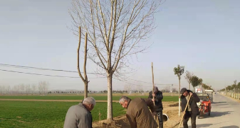 尉氏县邢庄乡：党群携手添新绿 乡村植树正当时