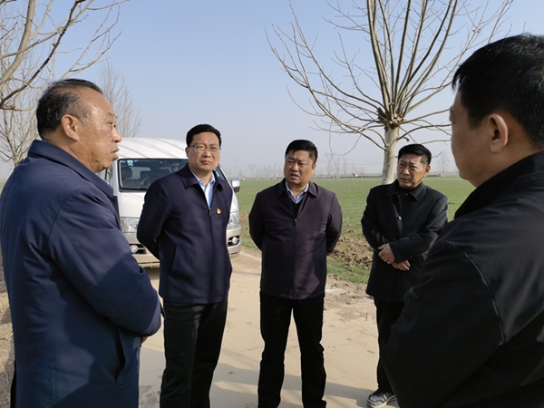 安阳县委副书记王永建到瓦店乡调研高标准农田建设工作