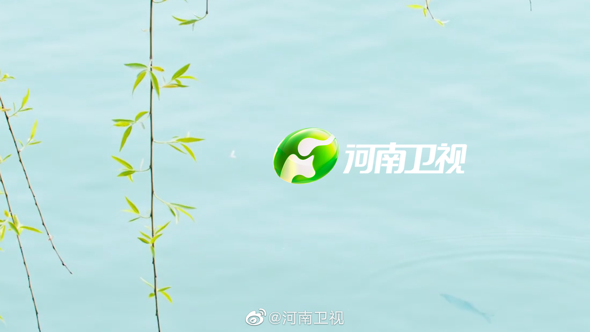 河南卫视四季限定款台标来袭先来浅看一下春季限定吧