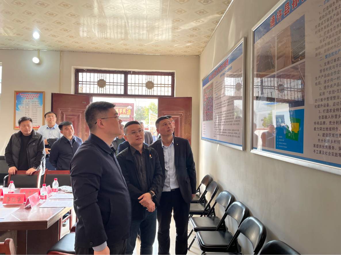 通许县县委副书记县长憨振强到孙营乡侯李村调研乡村振兴示范村建设
