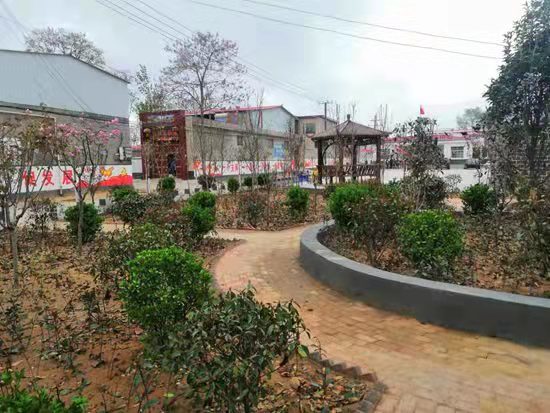 尉氏县岗李乡戮力实干让乡村更美更宜居