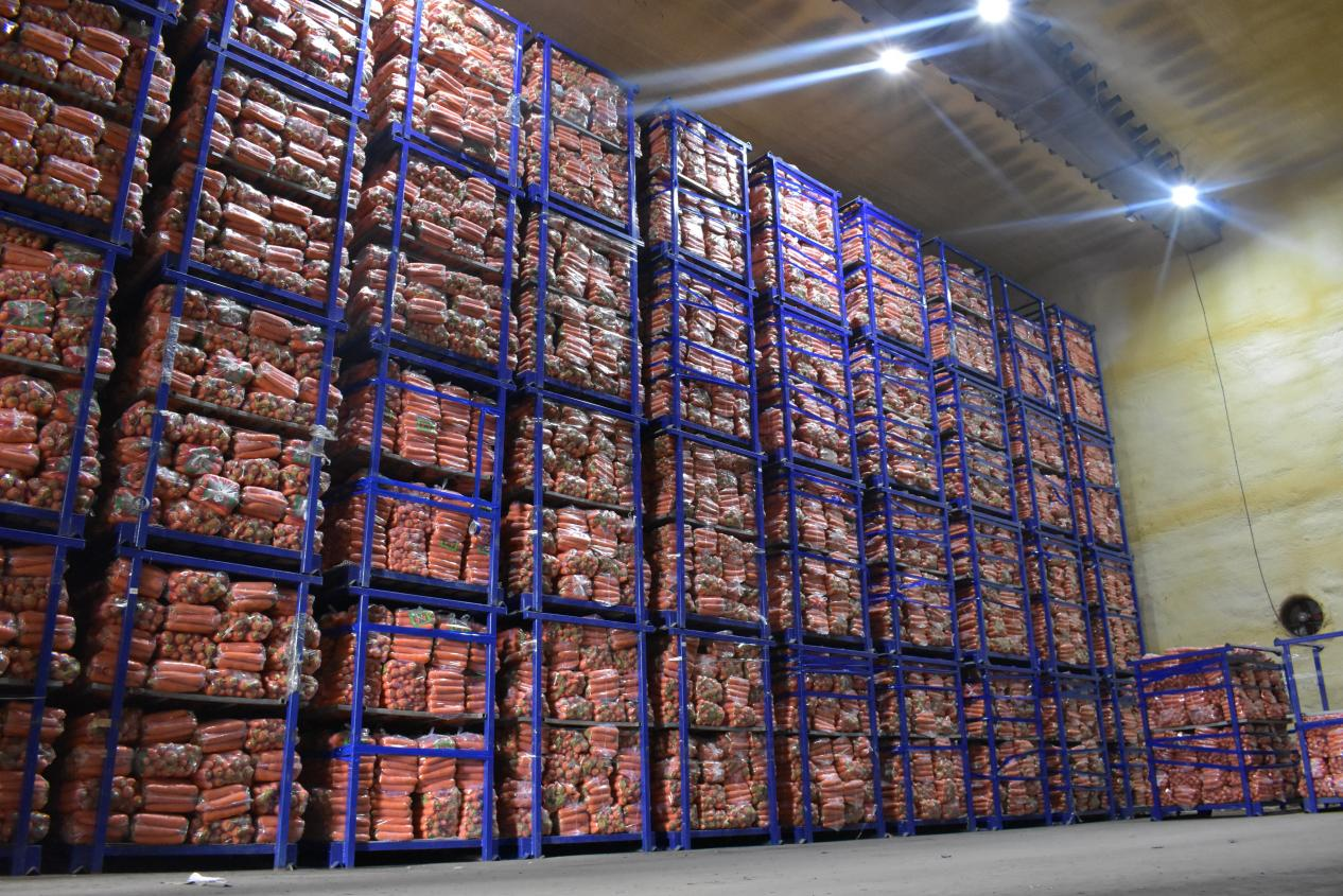 通许县孙营乡蔬菜冷库成为菜农致富聚宝盆