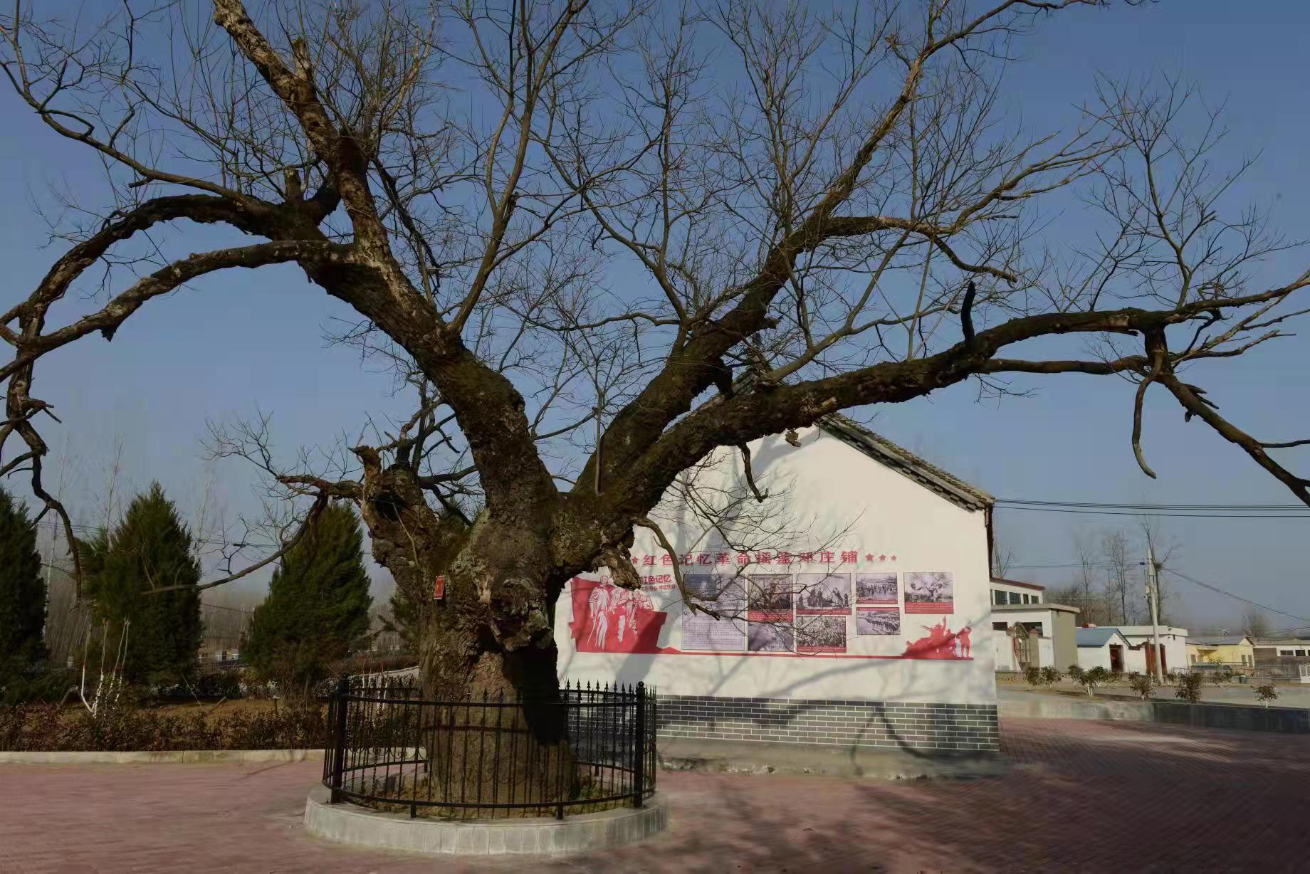 泌阳县铜山乡红色村庄焕新颜